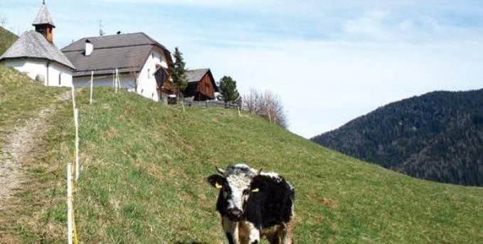 Berggasthof Trattes Olang Exterior photo